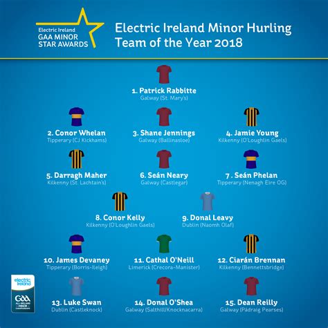 hurling team of the year 2022