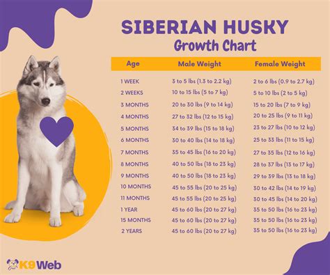 Husky Dog Weight Chart