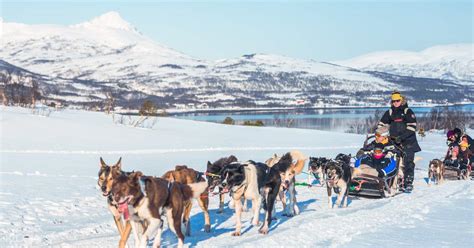 husky sledding tromso