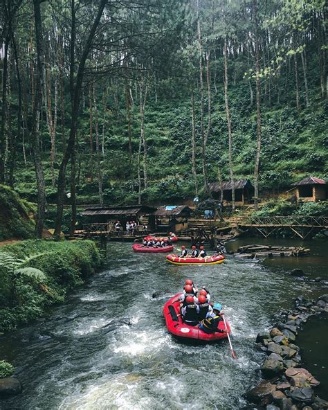 Hutan Wisata