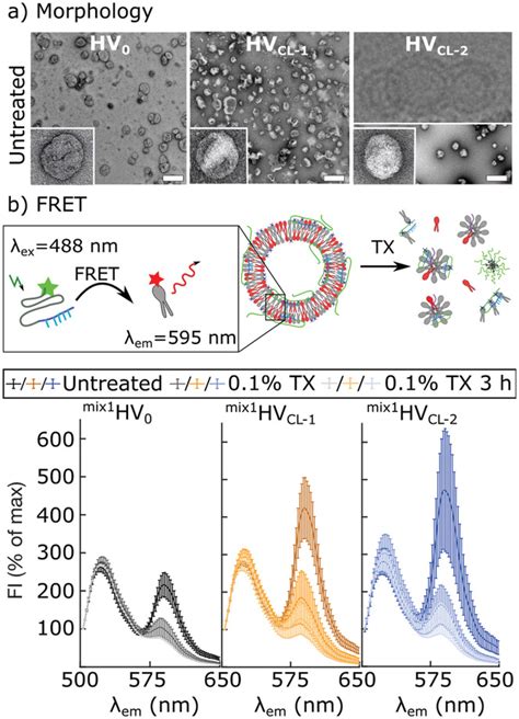 Unlock HV CL Success: Insider Tips!