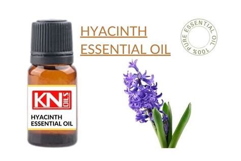 Hyacinth יקינתון (Enfleurage) RARE Essential Oil 5ml ISRAEL Blended