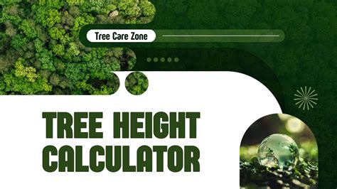 Hyacinth Tree Height