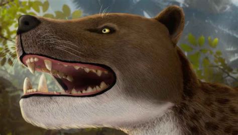 What are Hyaenodonts?