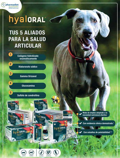 Hyaloral Razas grandes y gigantes para perros 120 comp 39933 39,990.00