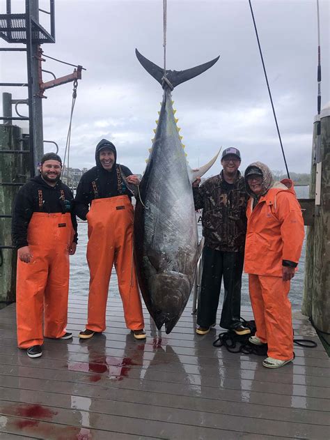 hyannis giant bluefin tournament
