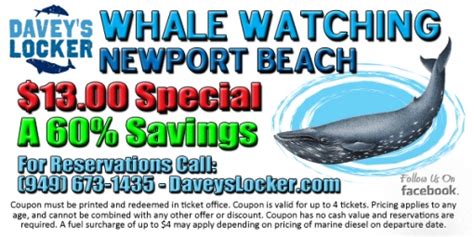 hyannis whale watch coupon 2023