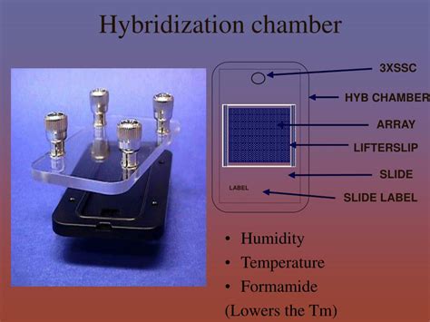 Hybridization Chamber