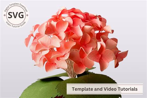 Free Flower Petal Template Svg / 3d flower mandala paper project with