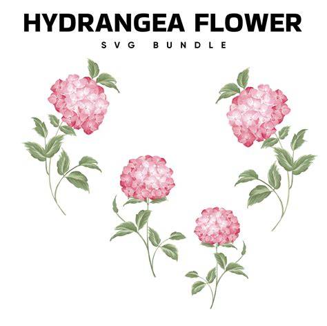 Download hydrangea-flower-with-leaf SVG
