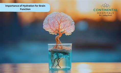 hydration for brain function
