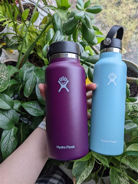 hydroflask eggplant
