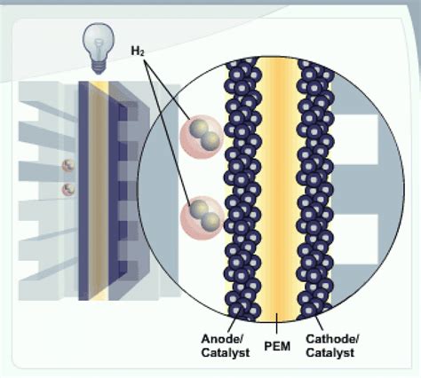 Hydrogen Fuel Cell Catalyst Materials
