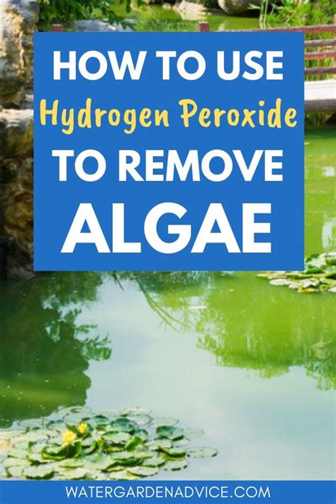 Hydrogen Peroxide To Kill Pond Algae