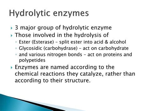 Hydrolytic Enzymes Definition