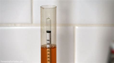 Hydrometer Testing Meaning