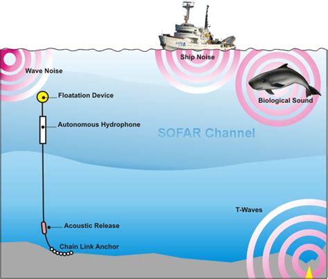 Hydrophones Technology