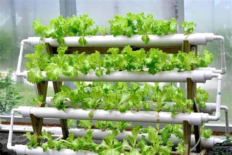 Hydroponic garden system with led light for growing at home