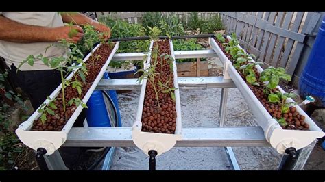 Hydroponic Diy System