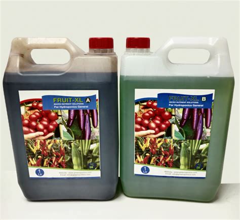 Hydroponic System Nutrient Solution