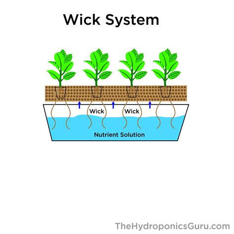 Variable Growth rates Hydroponic Wick System
