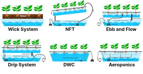 Hydroponics Aeration Method