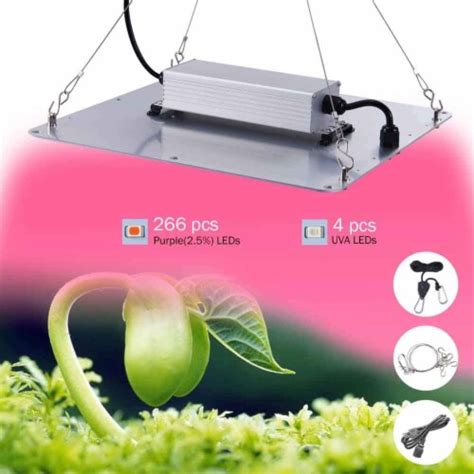 Hydroponics Need Sun Lamp