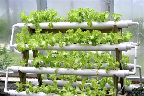 Hydroponics Without Pvc