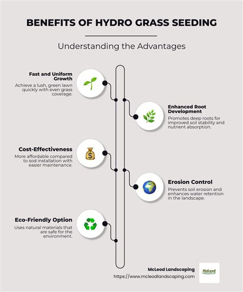 Hydroseeding Benefits
