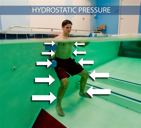 Hydrostatic Pressure Example In The Body