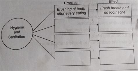 Hygiene And Sanitation Practice And Effect Example Brainly
