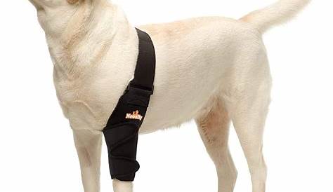 NATURE PET Dog Elbow Protector/Dog Elbow Sleeve/Hygroma