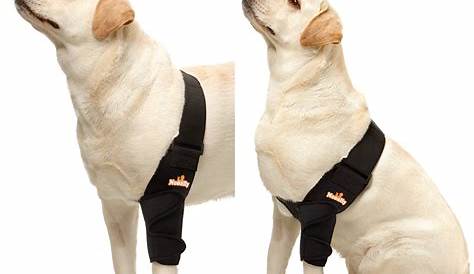 Nature Pet Dog Elbow Protector/Dog Elbow Sleeve/Hygroma