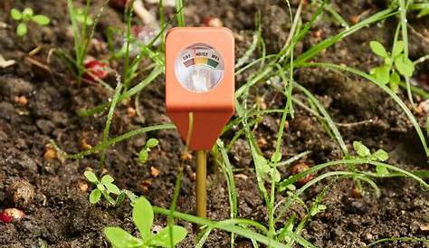 Hygrometre Plante Interieur Hygromètre Numérique Du Sol Testeur Dhumidité Testeur De