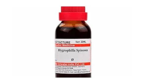 Hygrophilla Spinosa Homeopathy 2 Dram Pellets 6C, 30C