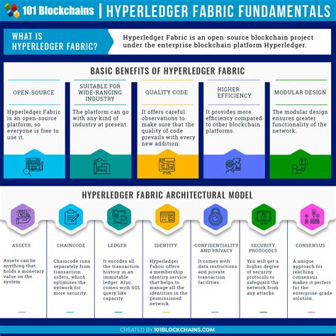 Hyperledger Fabric Development Environment