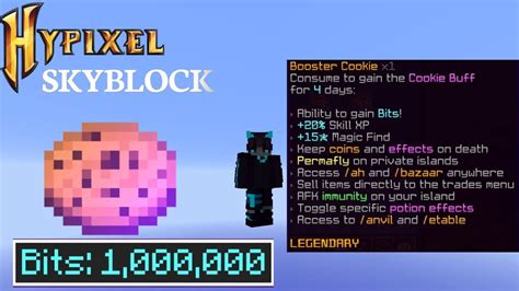 hypixel skyblock booster cookie