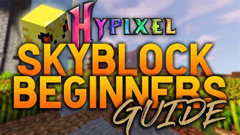 hypixel skyblock for beginners