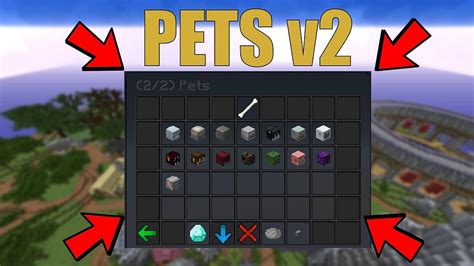Hypixel Skyblock Pet Xp Farm