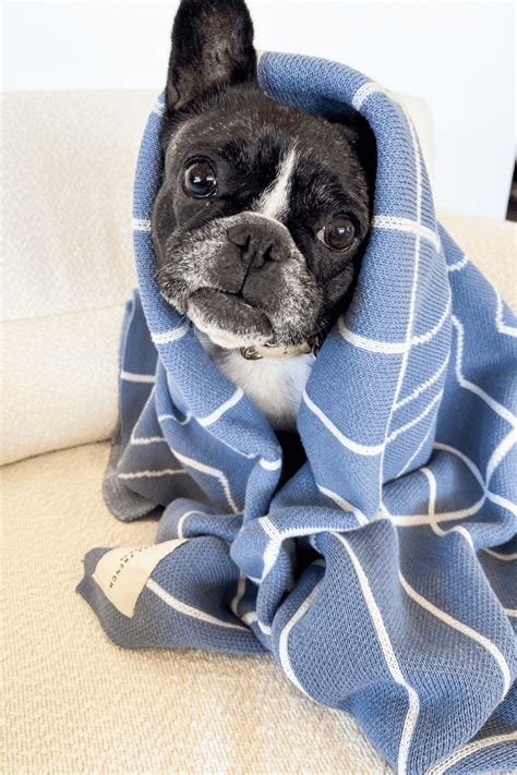 Hypoallergenic Dog Blankets