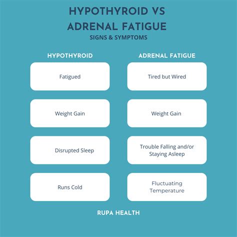 hypothyroidism and adrenal fatigue