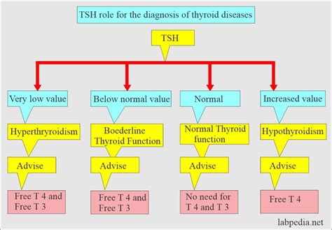 Hypothyroidism Tsh Levels T3