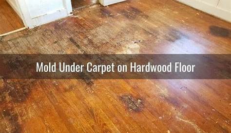 Restoring hardwood floors under carpet without refinishing the wood