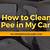 i peed in my car how to clean