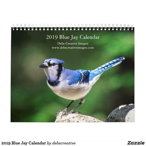 2020 Blue Jay Calendar Blue jay, Calendar, Blue jay bird