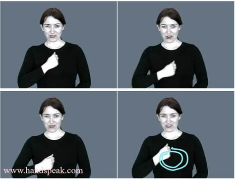 "sorry" American Sign Language (ASL)