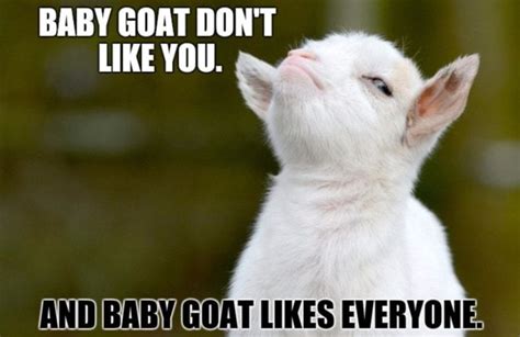 i'm the goat meme