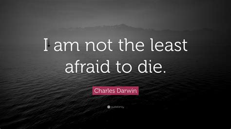 i am not afraid to die