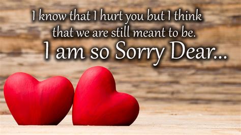 i am sorry my love