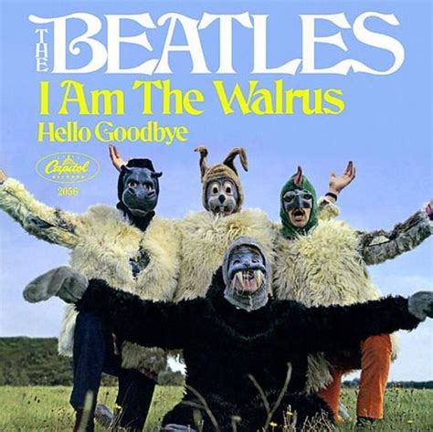 i am the walrus video